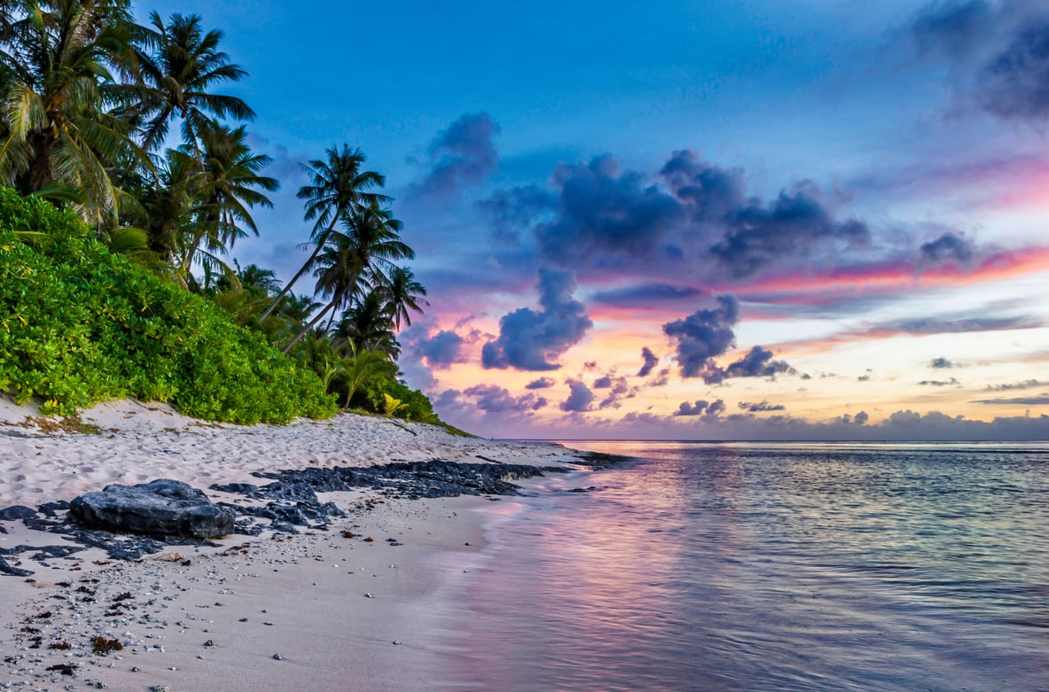 Tropical Beach View